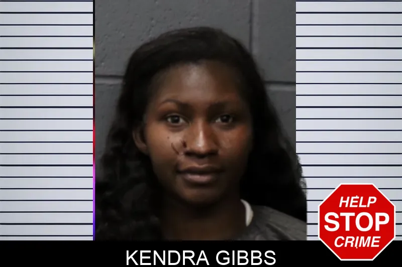 Kendra Gibbs mugshot – Forsyth County , Georgia Kendra Gibbs mugshot