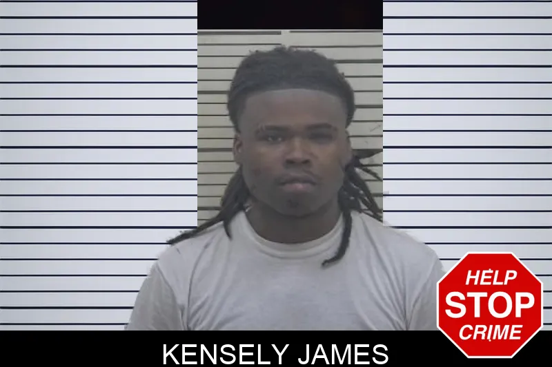 Kensely James mugshot – Coffee County , Georgia Kensely James mugshot