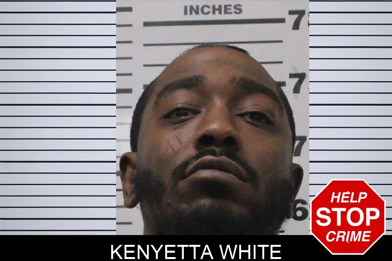 Kenyetta White mugshot – Colquitt County , Georgia Kenyetta White mugshot