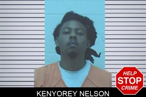 Kenyorey Nelson mugshot