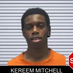 Kereem Mitchell mugshot – Cherokee County , Georgia Kereem Mitchell mugshot