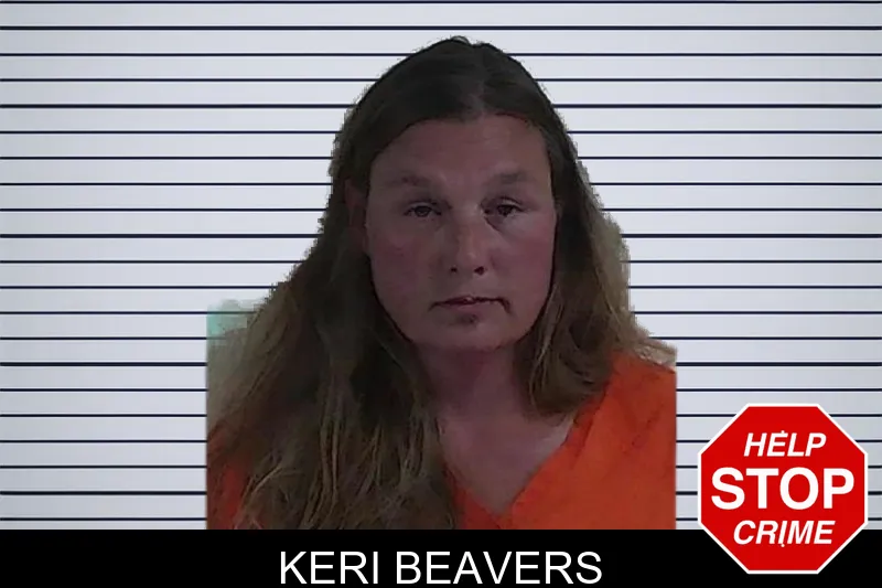 Keri Beavers mugshot – Fannin County , Georgia Keri Beavers mugshot