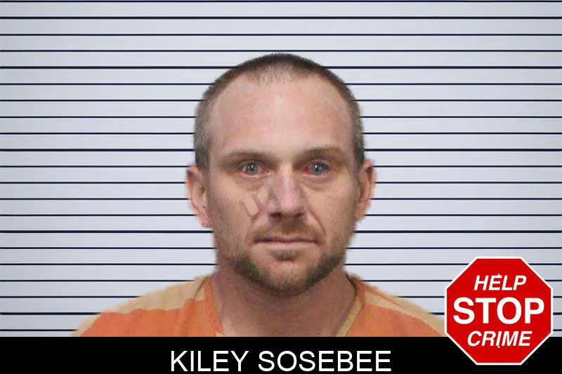 Kiley Sosebee mugshot