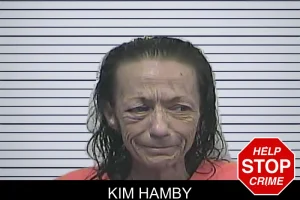 Kim Hamby mugshot
