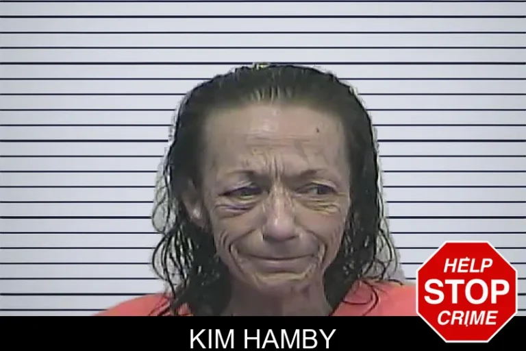 Kim Hamby mugshot – Dawson County , Georgia Kim Hamby