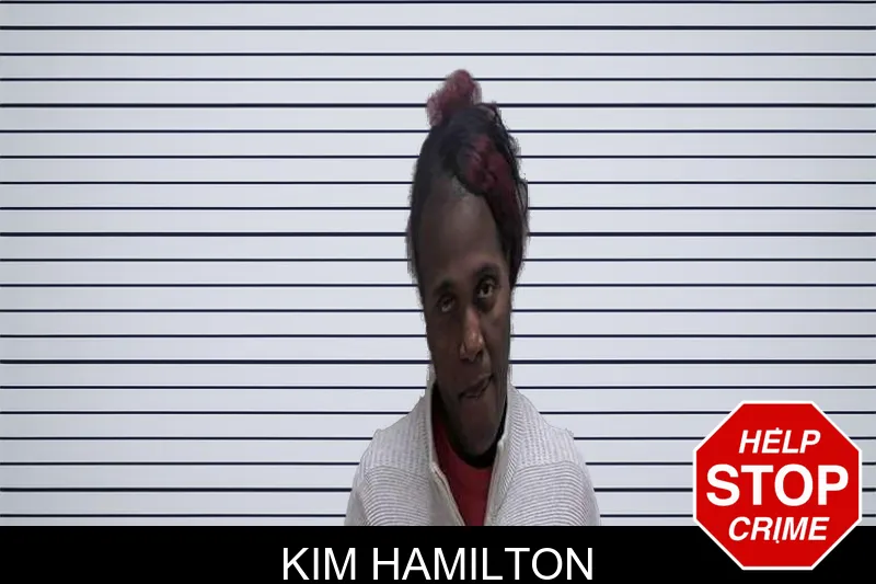 Kim Hamilton mugshot