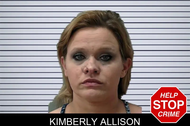 Kimberly Allison mugshot – Towns County , Georgia Kimberly Allison mugshot