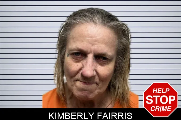 Kimberly Fairris mugshot – Dade County , Georgia Kimberly Fairris