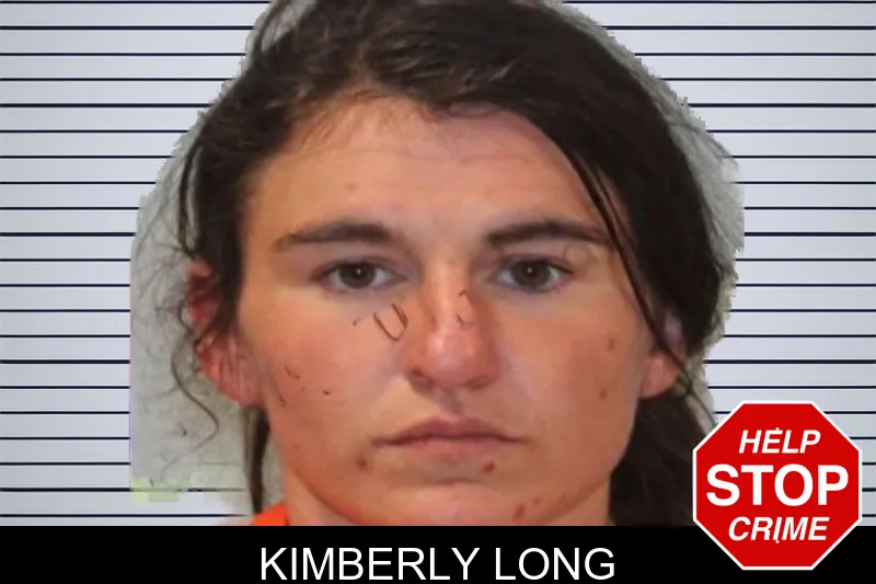 Kimberly Long mugshot