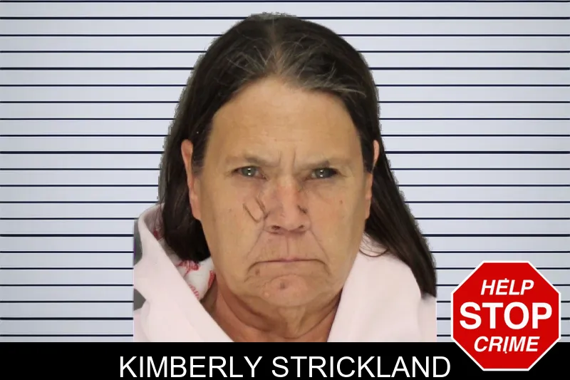 Kimberly Strickland mugshot – Cobb County , Georgia Kimberly Strickland mugshot