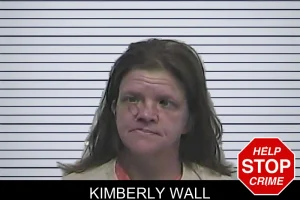 Kimberly Wall mugshot