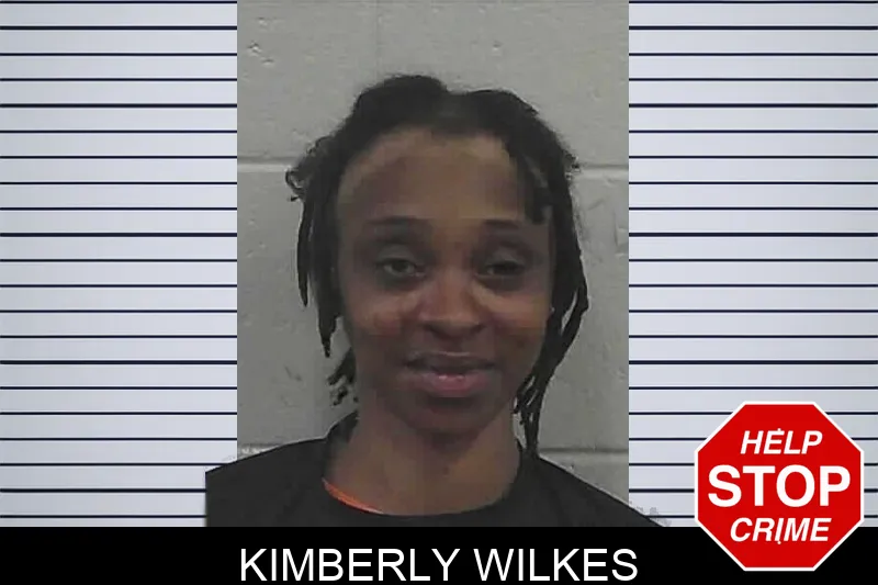 Kimberly Wilkes mugshot