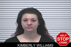 Kimberly Williams mugshot