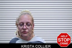 Krista Collier mugshot