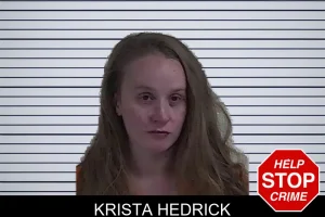 Krista Hedrick mugshot