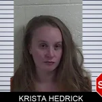 Krista Hedrick mugshot – Fannin County , Georgia Krista Hedrick mugshot