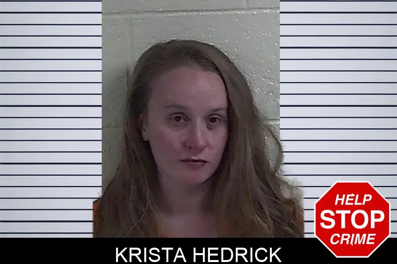Krista Hedrick mugshot