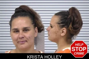 Krista Holley mugshot