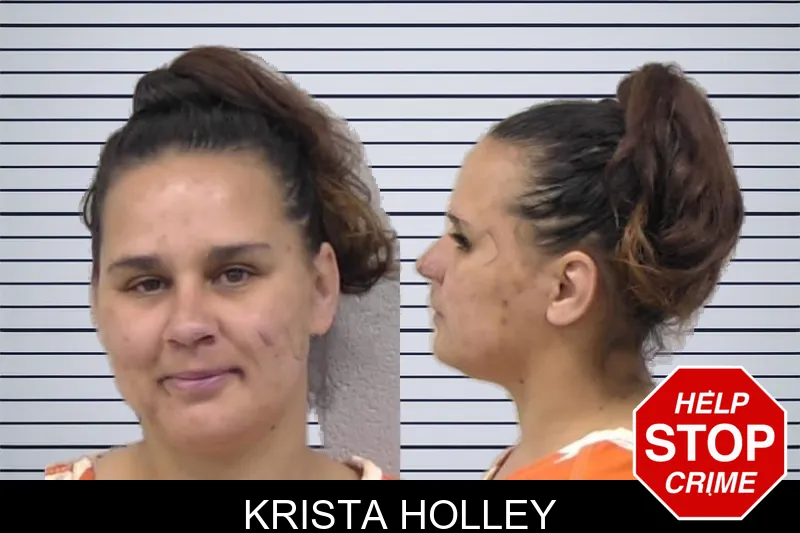 Krista Holley mugshot – Paulding County , Georgia Krista Holley mugshot