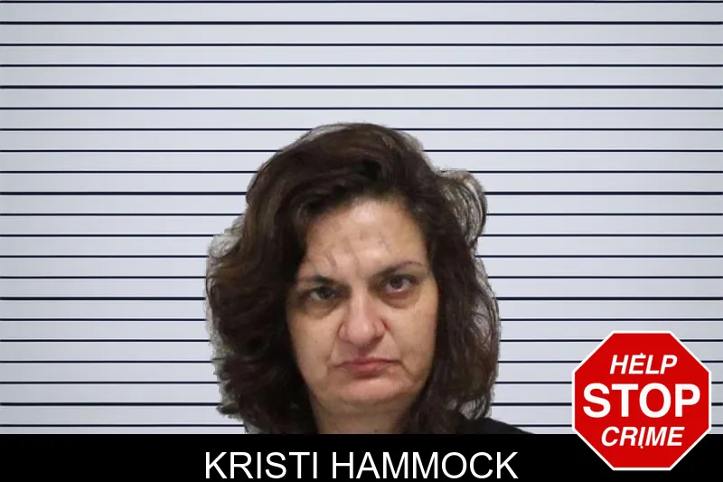 Kristi Hammock mugshot – Carroll County , Georgia Kristi Hammock mugshot