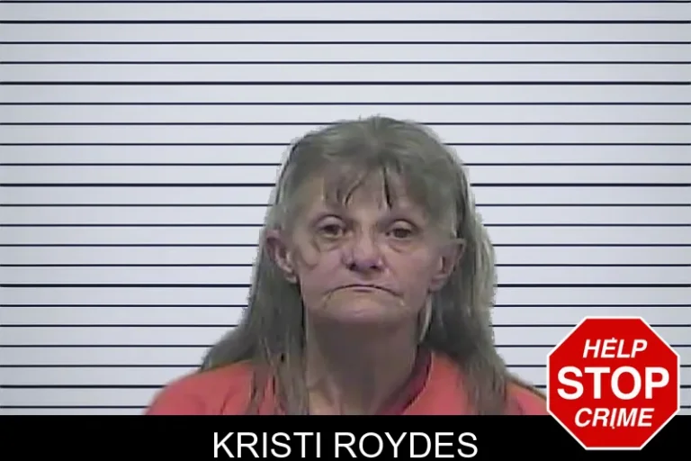 Kristi Roydes mugshot – Dawson County , Georgia Kristi Roydes