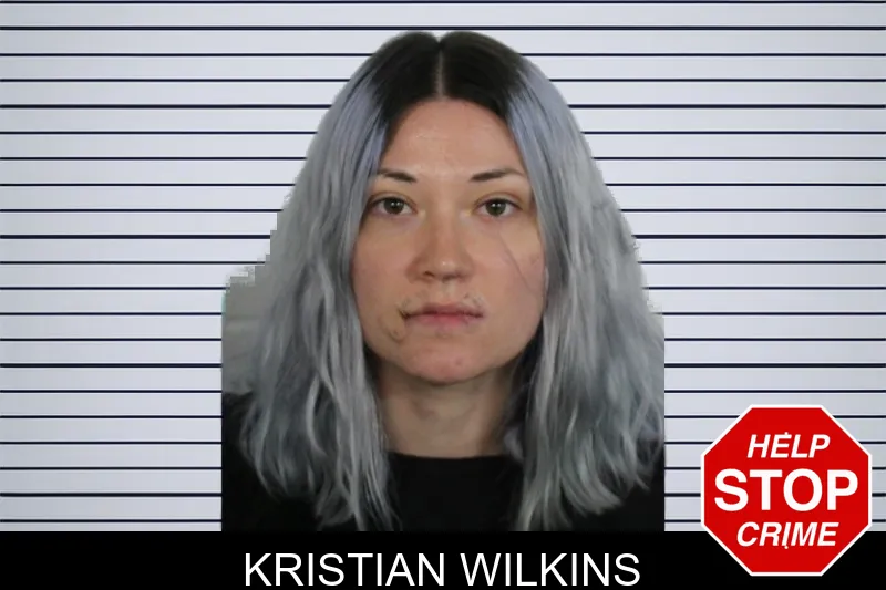 Kristian Wilkins mugshot