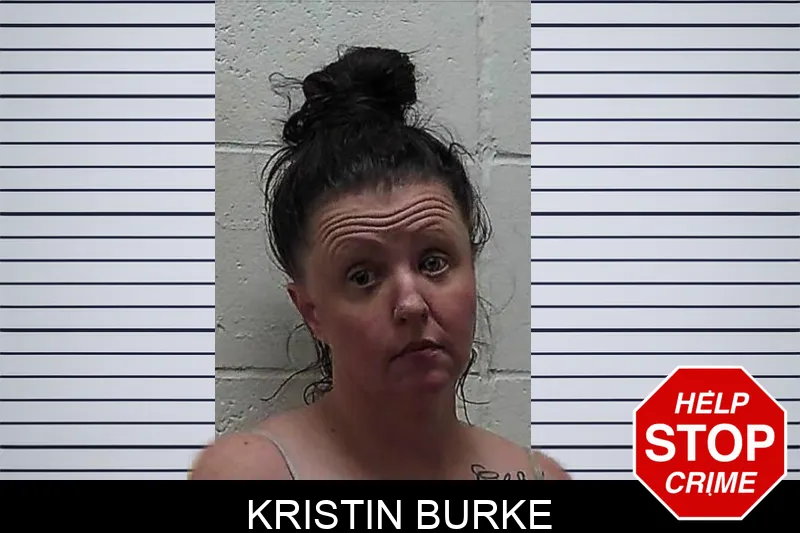 Kristin Burke mugshot