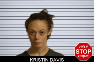 Kristin Davis mugshot