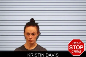 Kristin Davis mugshot