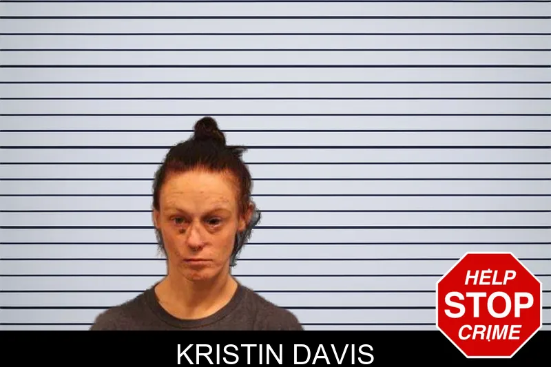 Kristin Davis mugshot