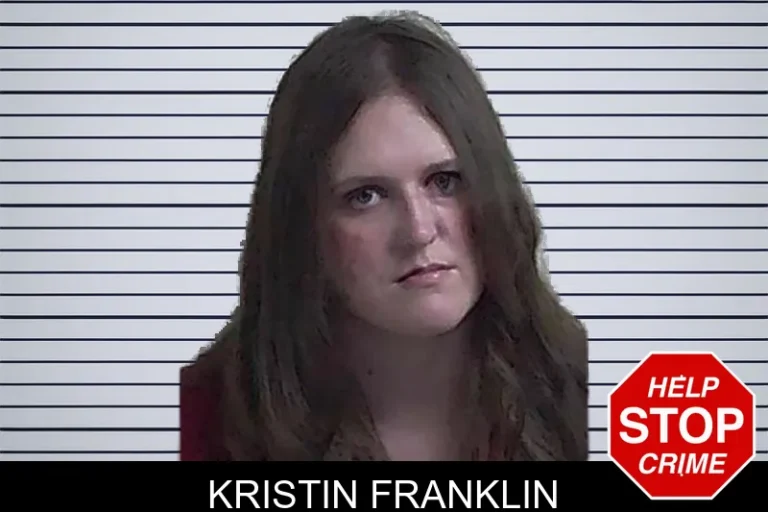 Kristin Franklin mugshot – Fannin County , Georgia Kristin Franklin