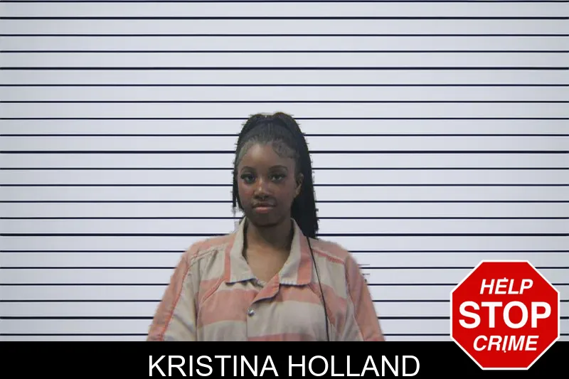 Kristina Holland mugshot
