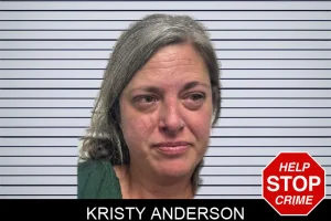 Kristy Anderson mugshot