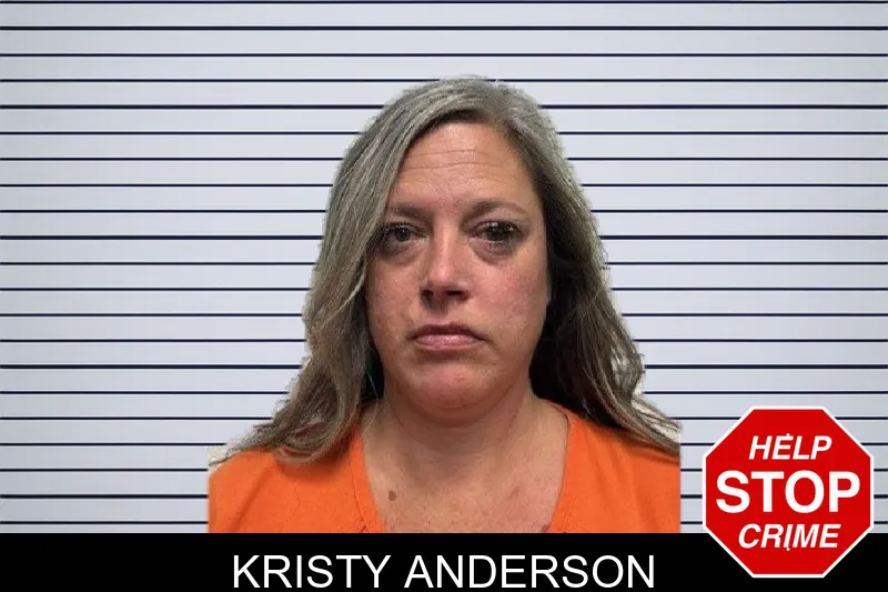 Kristy Anderson mugshot