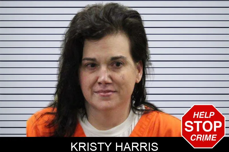 Kristy Harris mugshot