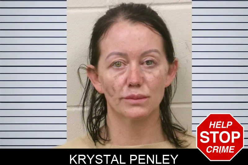 Krystal Penley mugshot – Bulloch County , Georgia Krystal Penley mugshot