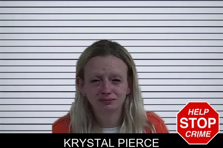 Krystal Pierce mugshot – Fannin County , Georgia Krystal Pierce