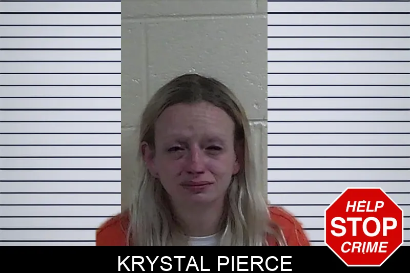 Krystal Pierce mugshot – Fannin County , Georgia Krystal Pierce mugshot