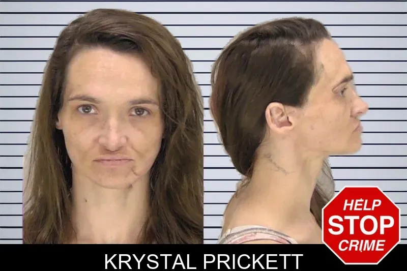 Krystal Prickett mugshot