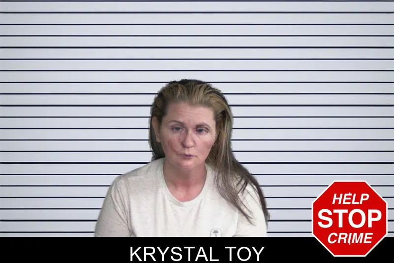 Krystal Toy mugshot