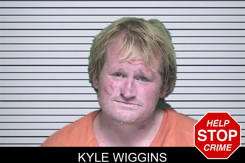 Kyle Wiggins mugshot