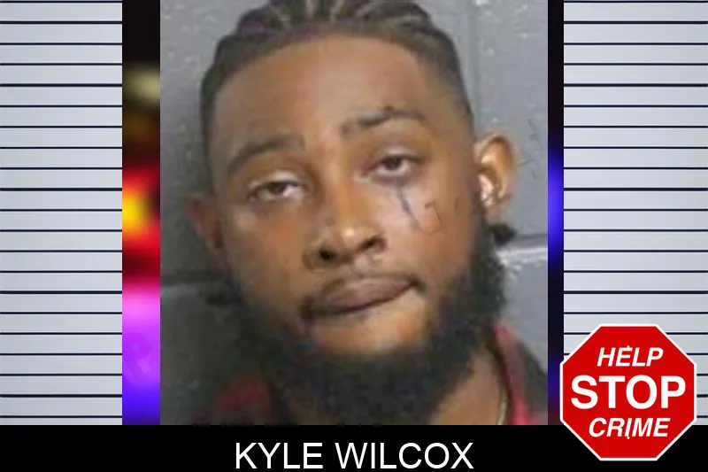 Kyle Wilcox mugshot