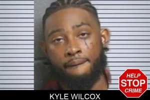Kyle Wilcox mugshot