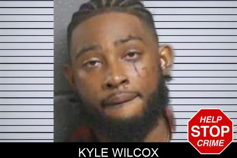 Kyle Wilcox