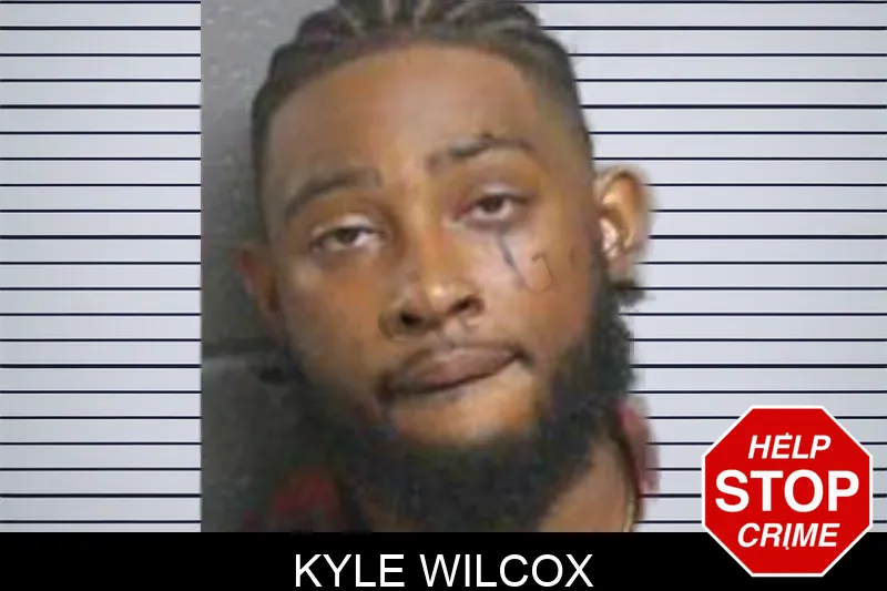 Kyle Wilcox mugshot