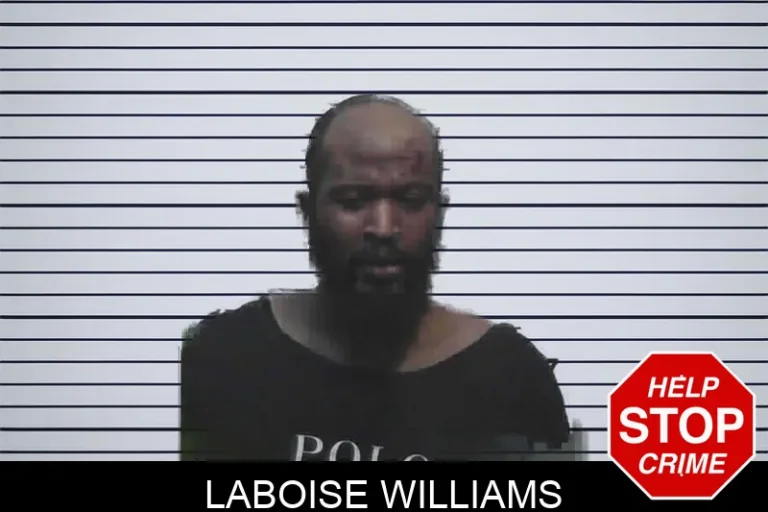Laboise Williams mugshot β Meriwether County , Georgia Laboise Williams