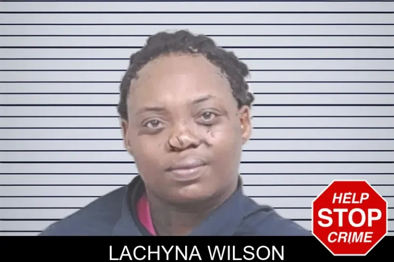 Lachyna Wilson