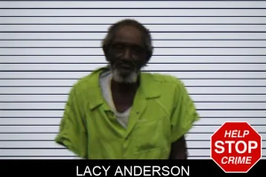Lacy Anderson mugshot