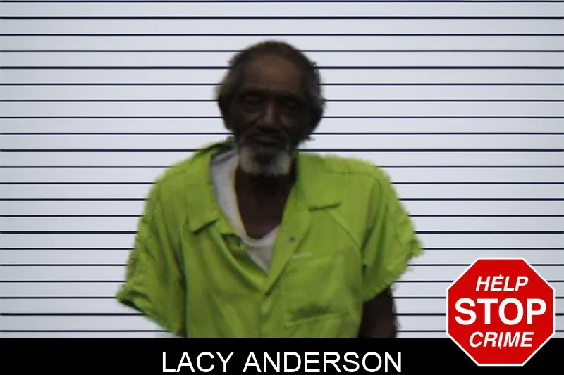 Lacy Anderson mugshot