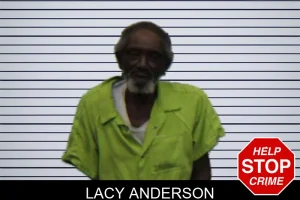 Lacy Anderson mugshot